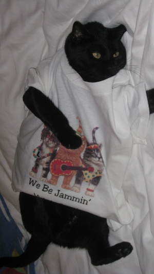 PlanJam Mascot